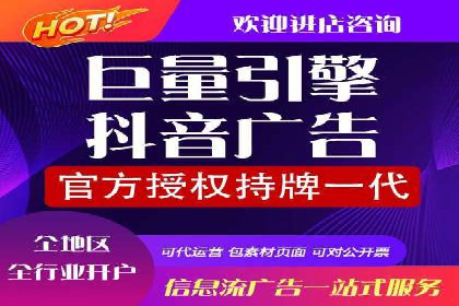 竞价托管服务案例解析